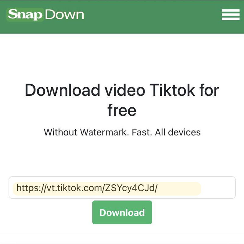 download tiktok video no watermark