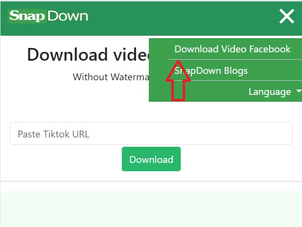 Hướng Dẫn Tải Video Facebook Với SnapDown.App