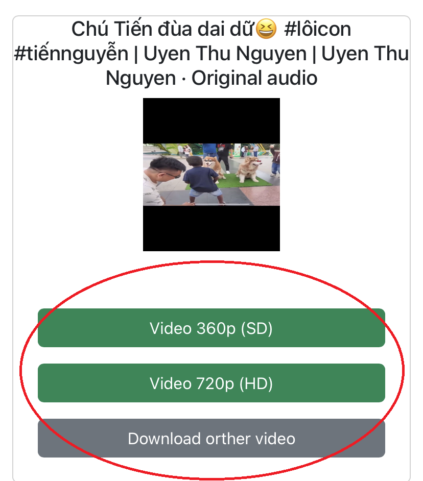 Hướng Dẫn Tải Video Facebook Với SnapDown.App