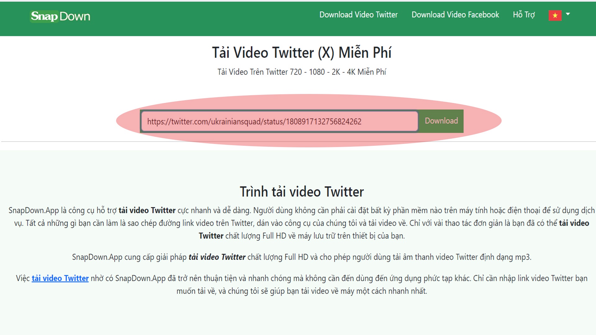 Hướng dẫn tải video Twitter (X) trên máy tính đơn giản